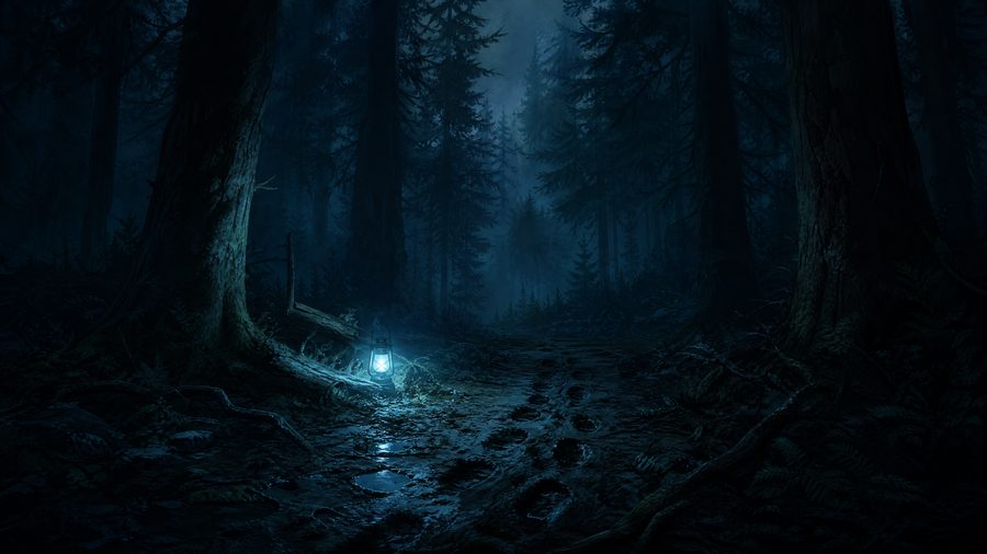 A dense conifer forest at night with fog and a single lantern casting pale blue light